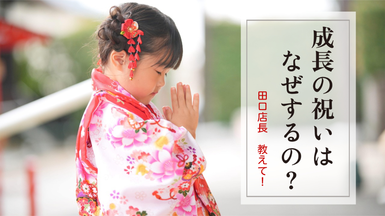 なぜお祝いするの？成長を祝う意味 | 【公式】季節の魚と釜飯 魚信