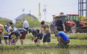 岡崎市　岡崎　和食　バリアフリー　高齢者　魚料理　豆腐料理　釜めし　親孝行　子連れ　三世代　おじいちゃん　おばあちゃん　日本料理　イス席　掘りごたつ　座敷　個室　煮魚　焼き魚　刺身　天麩羅　天ぷら　安心素材　体に優しい　体が喜ぶ