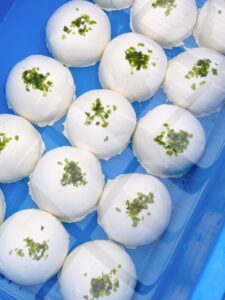 岡崎市 岡崎 豆腐 辛子豆腐 豆腐店 魚信 和食 日本料理 天ぷら 刺身 寿し オードブル 仕出し 弁当 個室 予約 家族