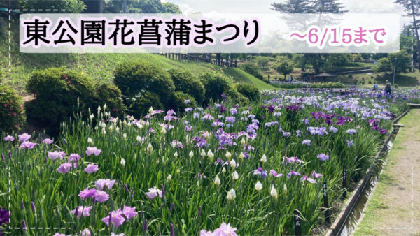 花菖蒲の帰りに、脂ののった“大アジ塩焼き”はいかが？🐟✨