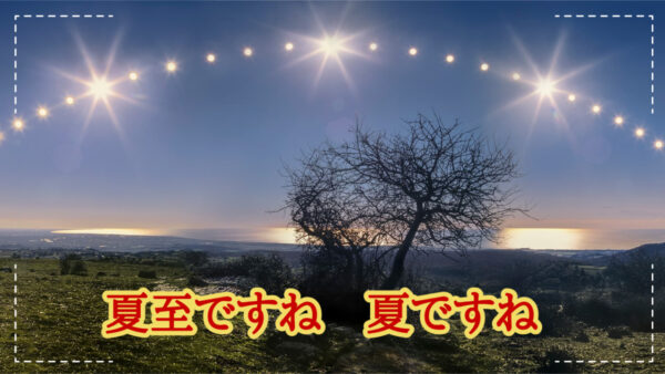 岡崎で旬を味わう夏至の日🌞
