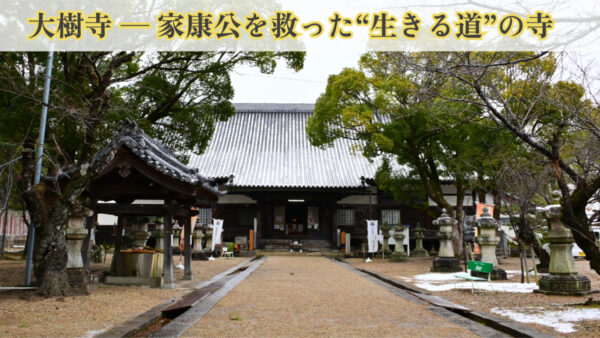 第1回：大樹寺 ─ 家康公を救った“生きる道”の寺