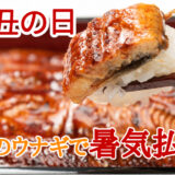 🎐土用丑目前！魚信の鰻で、暑さに打ち勝つ夏へ🔥
