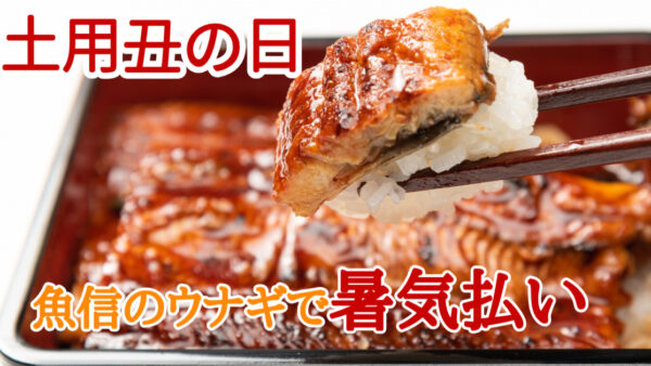 🎐土用丑目前！魚信の鰻で、暑さに打ち勝つ夏へ🔥