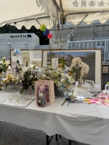 岡崎　岡崎市　東公園　像のふじ子　お疲れ様　ありがとう　魚信　おから