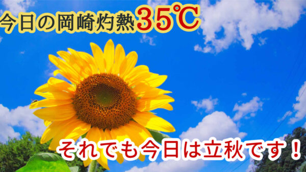 🍃今日は立秋──でも岡崎は灼熱35℃🔥まだまだ夏真っ盛り！