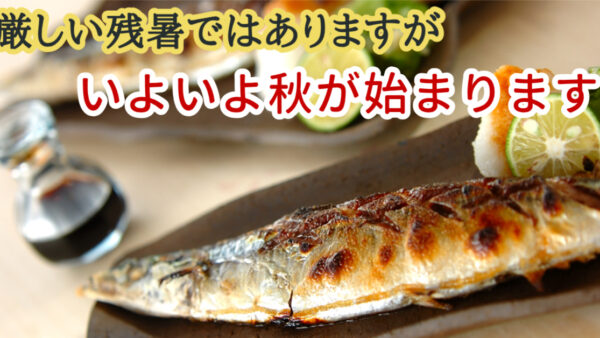 秋をお召し上がり下さい