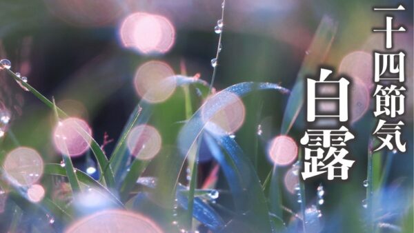 🍃今日は二十四節気「白露（はくろ）」──秋が静かに深まる頃🍂