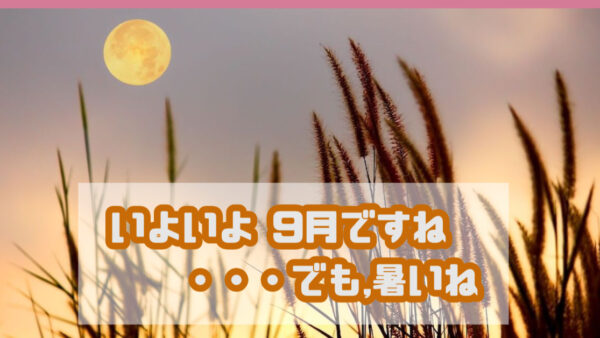 🍂今日から9月──秋の入り口、でもまだまだ暑いですね