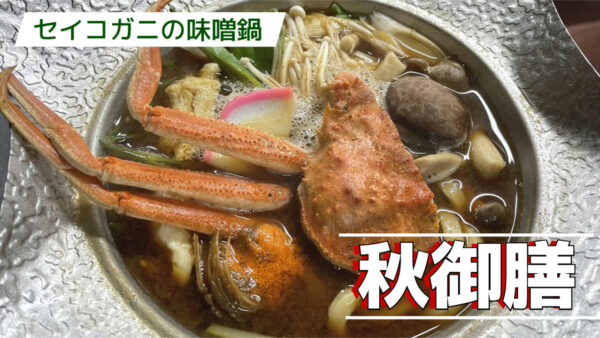 ようやく秋ですね🍄