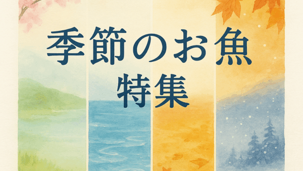 🐟旬のお魚情報！