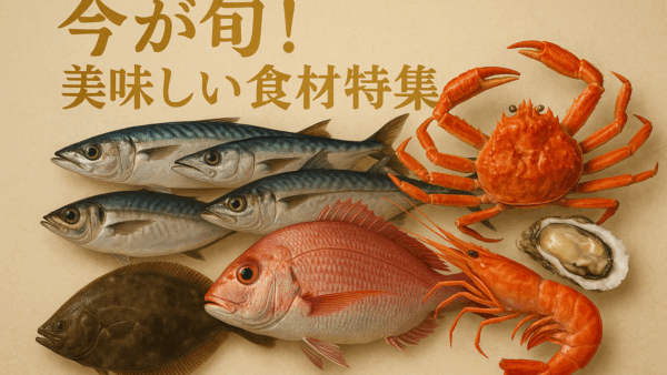 🐟旬のお魚情報！