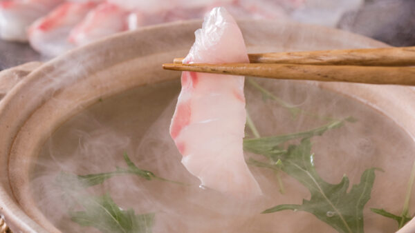 大反響の「春御膳」と、お祝いにぴったりの「春の味覚満喫会席」