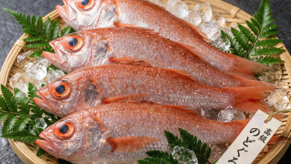 お花見帰りにぴったり！先週即完売の「のどぐろ」また買ってきました🐟