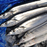 新秋刀魚入荷しました！